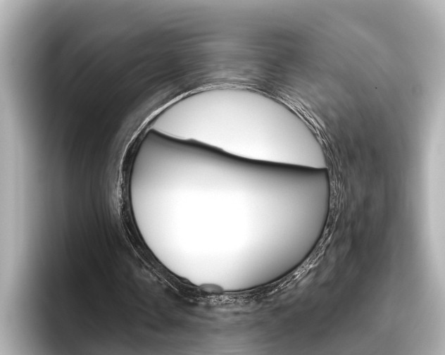 X0000096460338200801241122