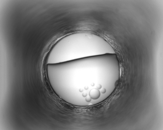 X0000096460339200801241122