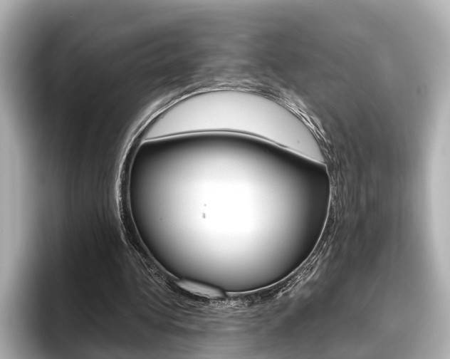 X0000096460340200801241122