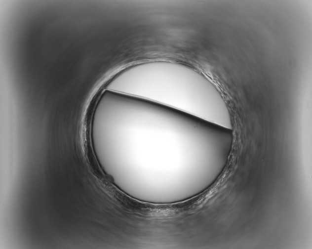 X0000096460342200801241122