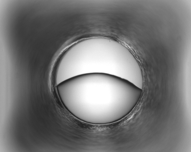 X0000096460343200801241122