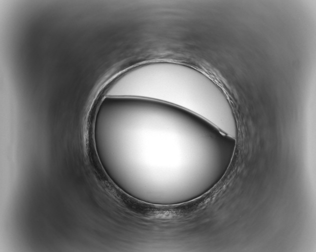 X0000096460344200801241122