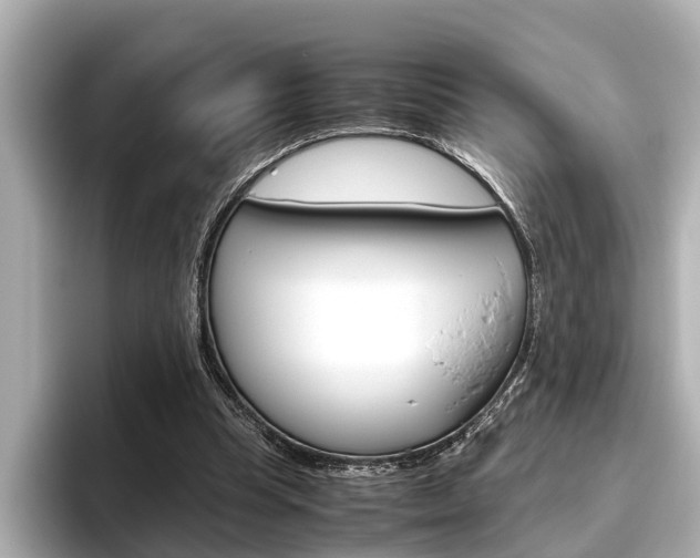 X0000096460345200801241122