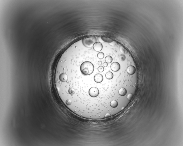 X0000096460346200801241122
