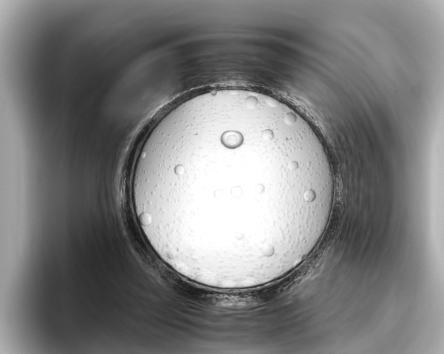 X0000096460347200801241122