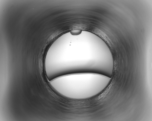 X0000096460349200801241122