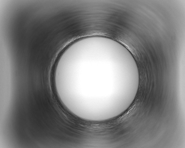 X0000096460350200801241122