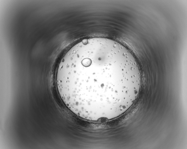 X0000096460351200801241122