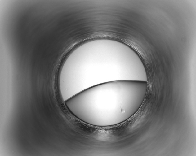 X0000096460352200801241122