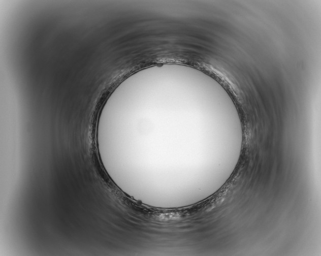 X0000096460353200801241122