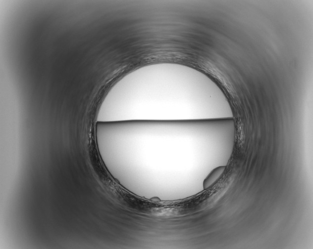 X0000096460356200801241122