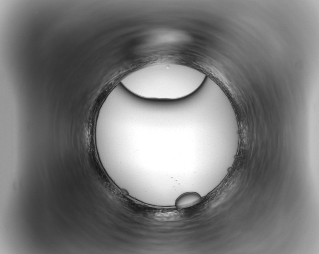 X0000096460357200801241122
