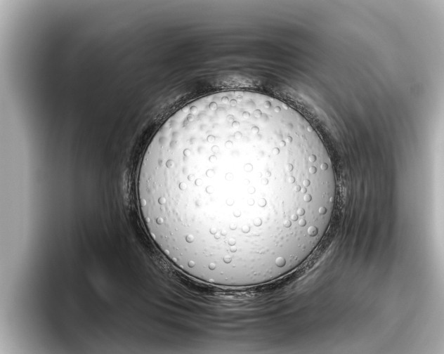 X0000096460359200801241122