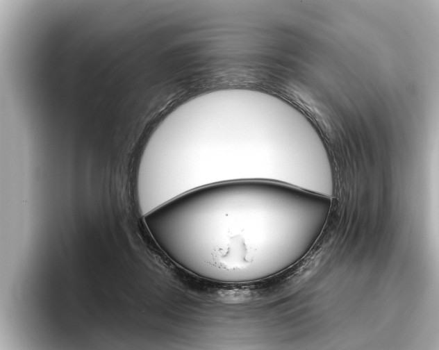 X0000096460362200801241123