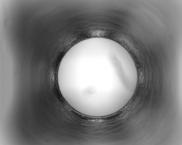 X0000096460363200801241123
