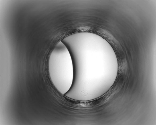X0000096460365200801241123