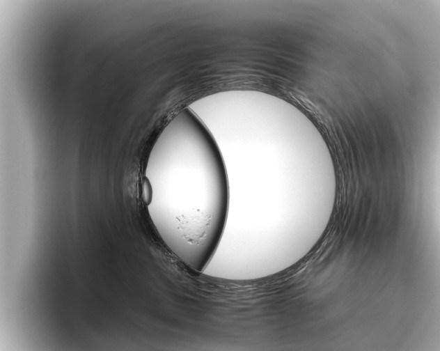 X0000096460379200801241123
