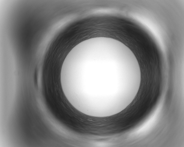 X0000096460382200801241123