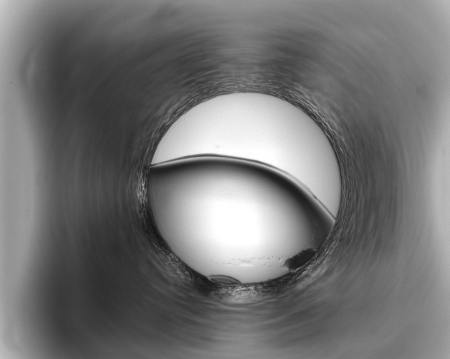 X0000096460384200801241123
