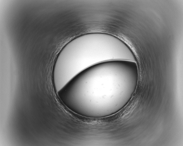 X0000096460385200801241122