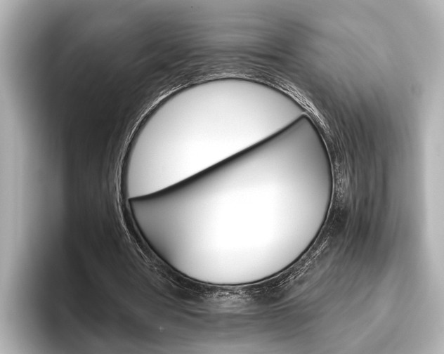 X0000096460386200801241122