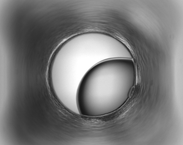 X0000096460387200801241122