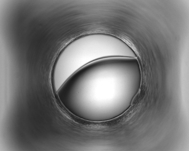 X0000096460389200801241122