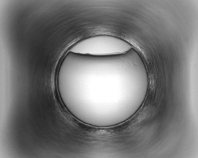 X0000096460390200801241122