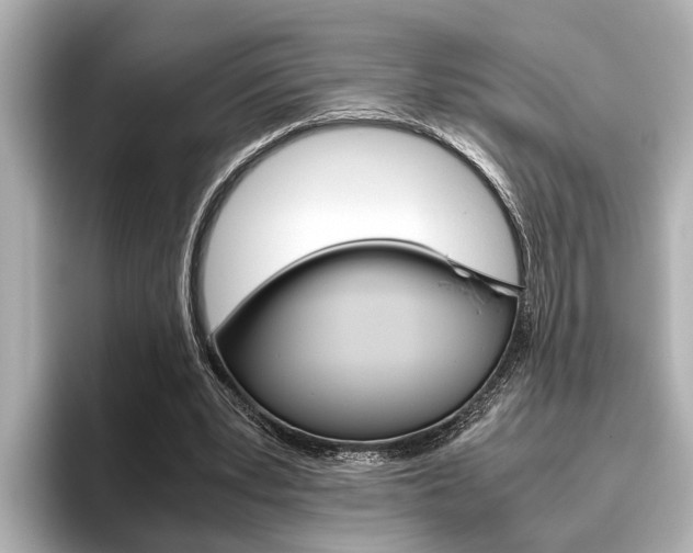 X0000096460391200801241122