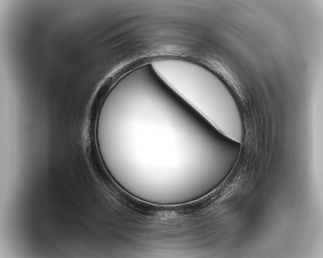 X0000096460392200801241122