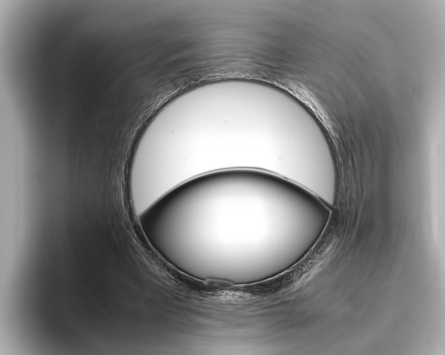 X0000096460393200801241122