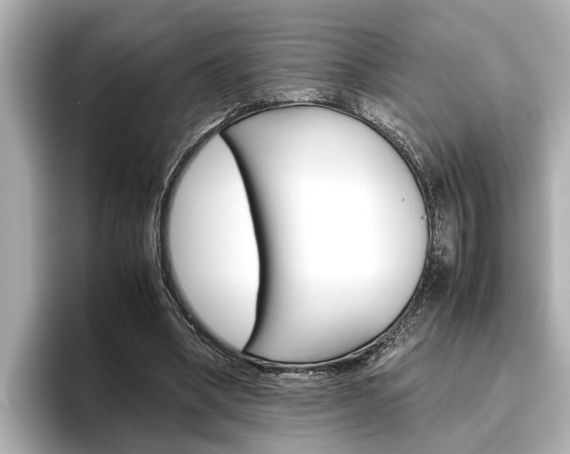 X0000096460394200801241122