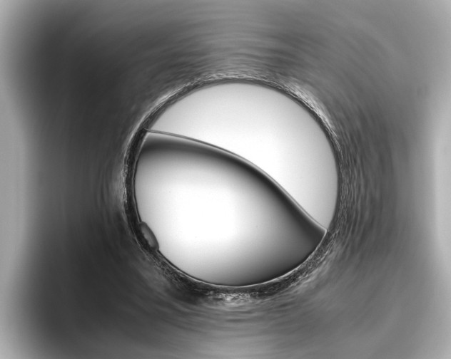 X0000096460395200801241122