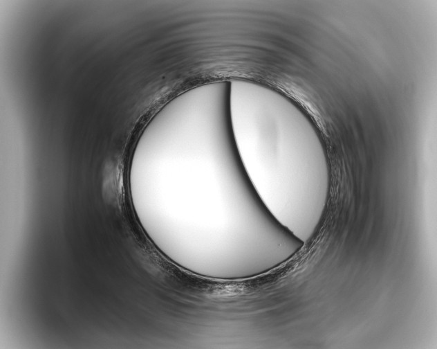 X0000096460398200801241122