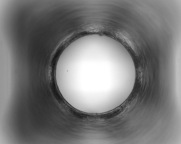 X0000096460400200801241122