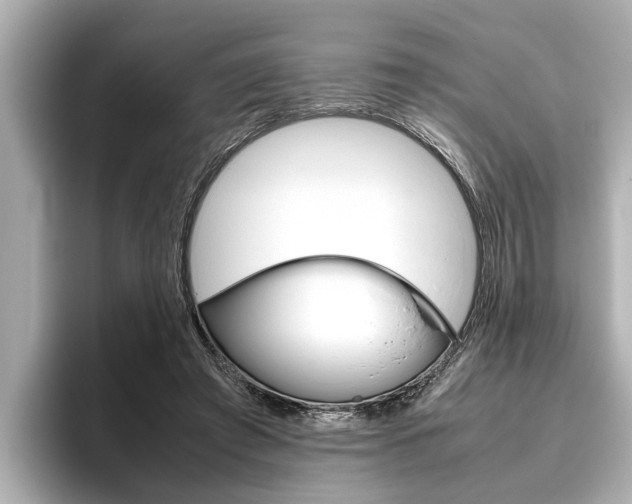 X0000096460401200801241122