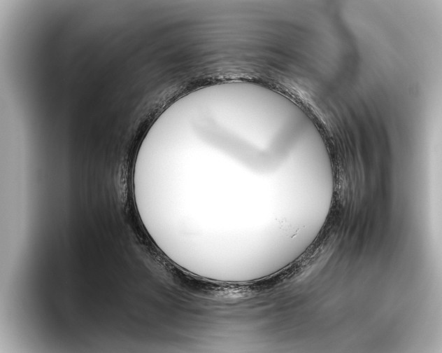 X0000096460402200801241122