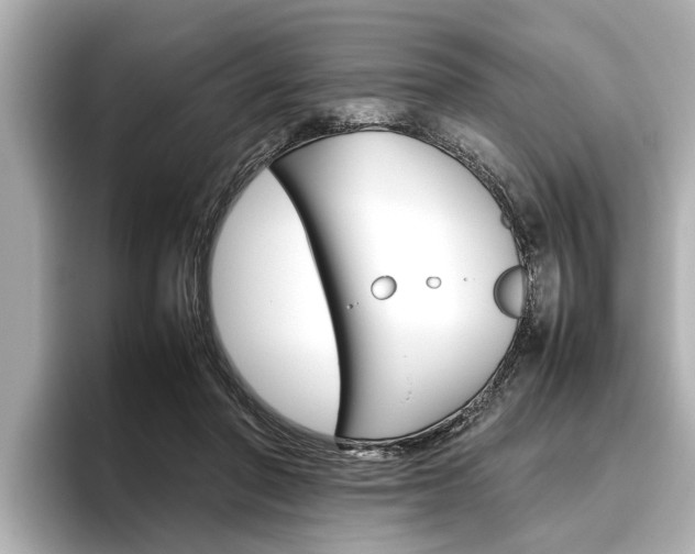 X0000096460406200801241122