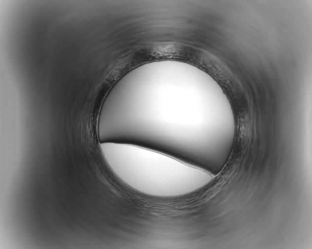 X0000096460408200801241122