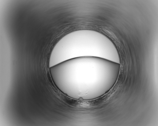 X0000096460409200801241122