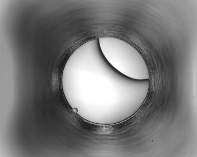 X0000096460410200801241122
