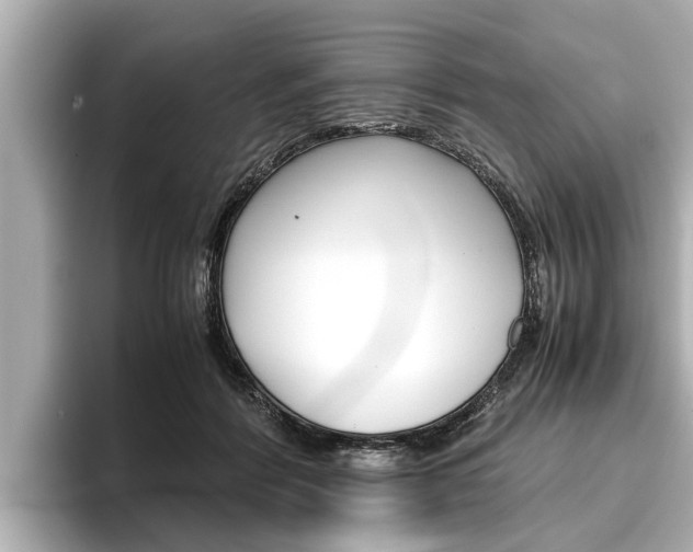 X0000096460412200801241122