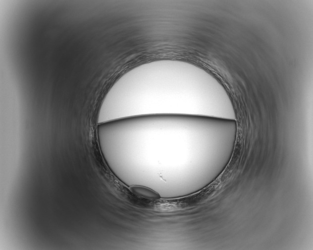 X0000096460413200801241122
