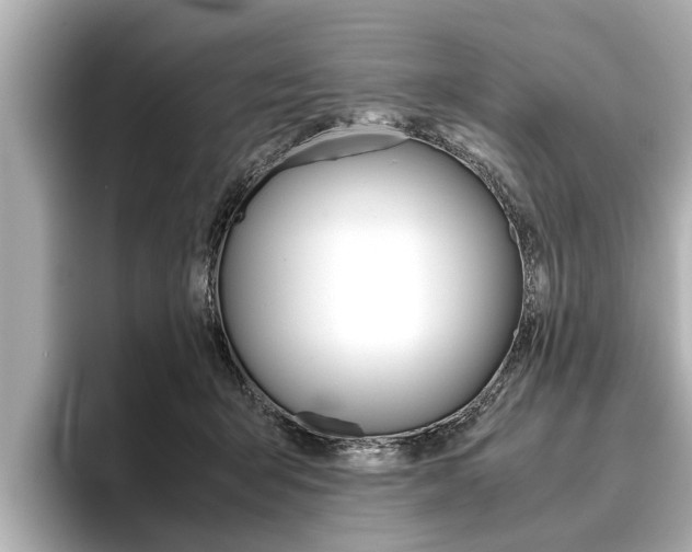 X0000096460415200801241122
