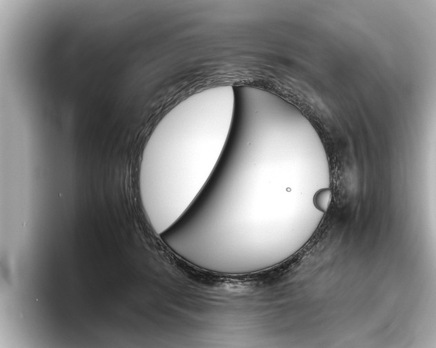X0000096460416200801241122