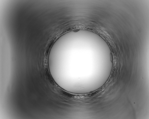 X0000096460419200801241122