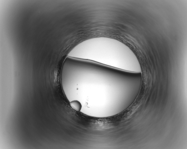 X0000096460420200801241122