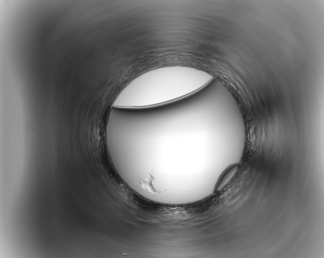X0000096460424200801241122