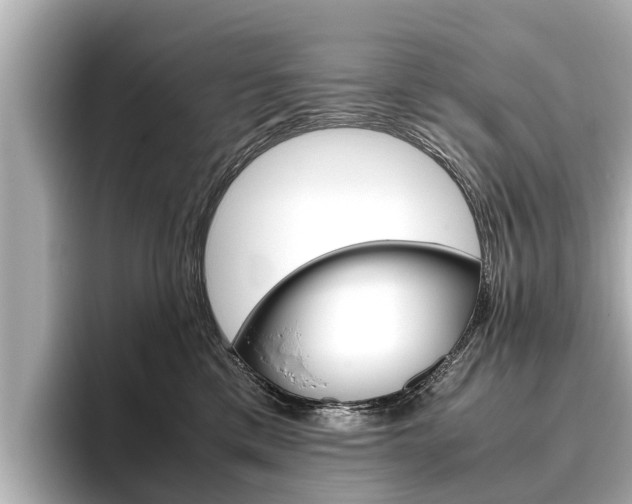 X0000096460425200801241122