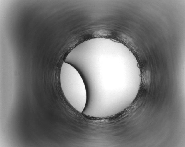 X0000096460426200801241122